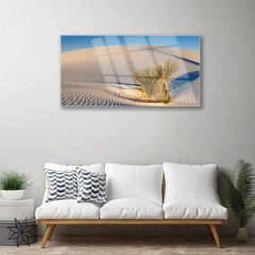 Obraz na skle Púšť krajina 140x70 cm