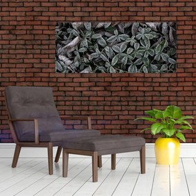Obraz - Zamrznuté rastliny (120x50 cm)