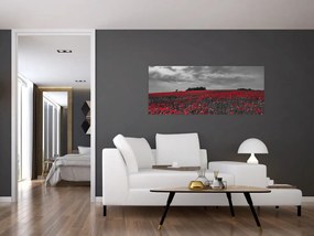 Obraz vlčích makov (120x50 cm)
