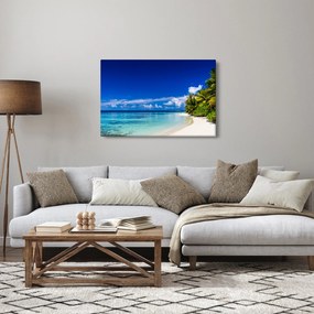 Obraz tropickej pláže (90x60 cm)