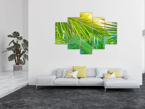 Obraz - Palmové listy (150x105 cm)
