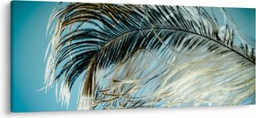 Obraz pierka (120x50 cm)