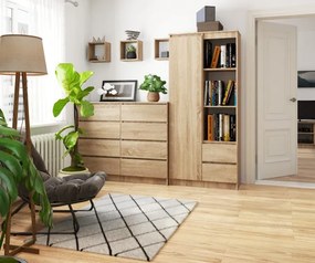 Regál R11 R80 1D 2SZ CLP sonoma