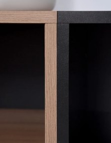 Skrinka 2-dverová Nola, dub artisan/čierna