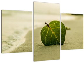 Obraz listu v piesku (90x60 cm)
