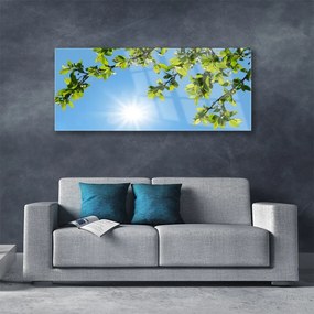 Obraz na akrylátovom skle Slnko príroda 125x50 cm