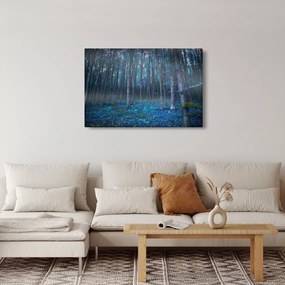 Obraz - Magický les (90x60 cm)