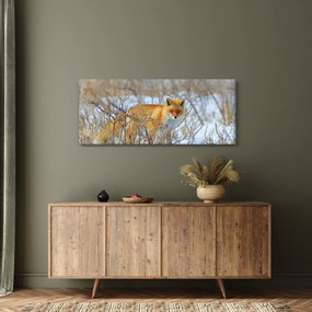 Obraz - Lišiak (120x50 cm)