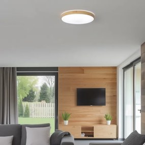Brilagi - stmievateľné LED stropné svietidlo PINE LED/24W/230V + diaľkové ovládanie