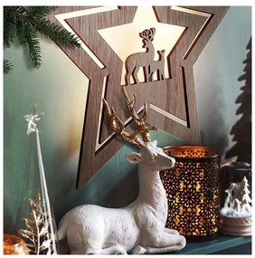 Solight 1V261 - LED Vianočná dekorácia LED/2xAA hviezda