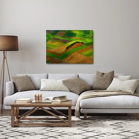 Obraz - Polia, lúky (70x50 cm)