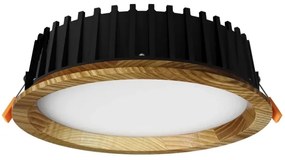 APLED - LED Podhľadové RONDO WOODLINE LED/6W/230V 4000K pr. 15 cm jaseň masív