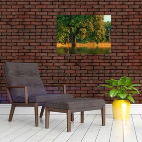 Obraz žirafy v prírode (70x50 cm)