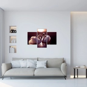 Obraz - Labute na jazere (90x60 cm)