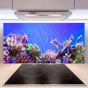 Sklenený obklad Do kuchyne Koralový útes príroda 125x50 cm