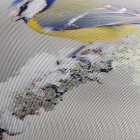 Obraz - Sýkorka (150x105 cm)