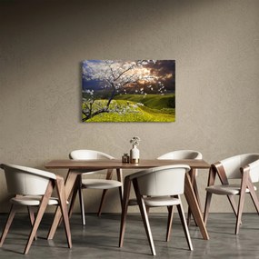 Obraz - Rozkvitnutý strom v krajine (90x60 cm)