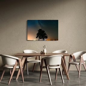 Obraz nočnej oblohy so stromami (90x60 cm)