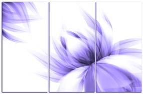 Obraz na plátne - Elegantný kvet 1147VB (105x70 cm)
