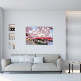 Obraz - Hirosaki, Japonsko (90x60 cm)