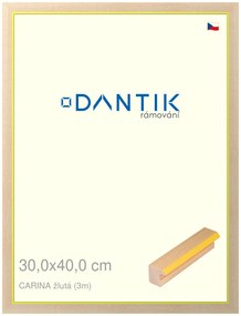 DANTIK rám na obraz 30x40 | CARINA žlutá (Plexi Čiré)