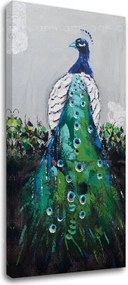 Obraz na plátne PÁV 1 dielny XOBCHZH4048E1