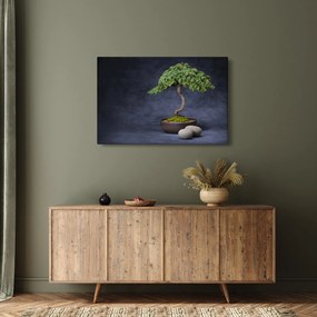 Obraz - Bonsai (90x60 cm)