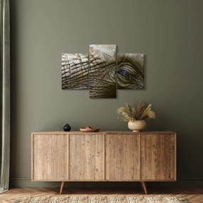 Obraz - Detailné fotografie starého slonieho oka (90x60 cm)