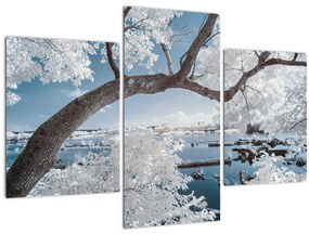 Obraz zasneženého stromu pri vode (90x60 cm)