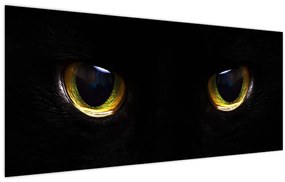 Obraz - Mačacie oči (120x50 cm)