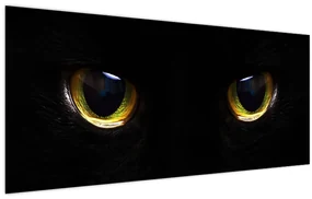 Obraz - Mačacie oči (120x50 cm)
