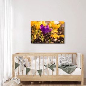 Obraz fialovej kvetiny (90x60 cm)