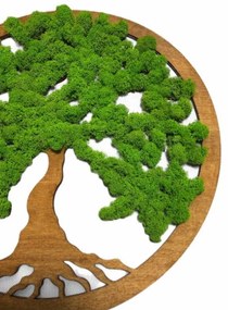 Strom na stenu z machu Tinker 60 cm