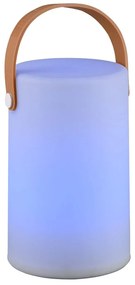 LED solárne vonkajšie svietidlo na diaľkové ovládanie (výška 21 cm) Aruba – Trio