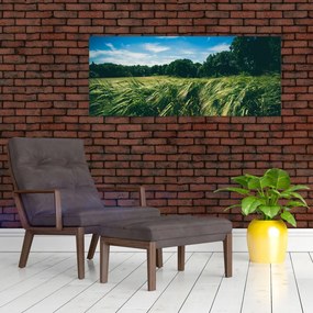 Obraz lúky a lesa (120x50 cm)