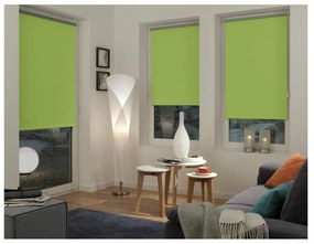 Svetlozelená roleta 42,5x150 cm Mini Termo – Gardinia