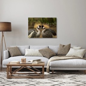 Sklenený obraz vtákov (70x50 cm)