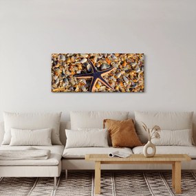 Obraz morskej hviezdice (120x50 cm)
