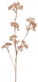 Gasper Patrinia vetva ružovozlatá 60 cm