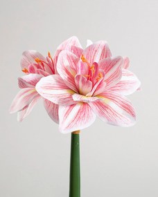 Umelá kvetina Amarylis 62 cm pink