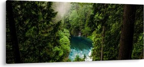 Obraz - Priezor medzi stromami (120x50 cm)