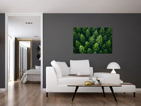 Obraz - Les (90x60 cm)