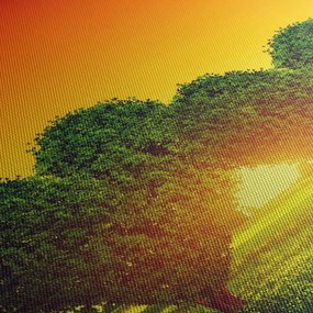 Obraz - Srdce v korunách stromov (120x50 cm)