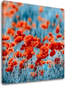 Obraz na stenu ČERVENÉ KVETY_159-12