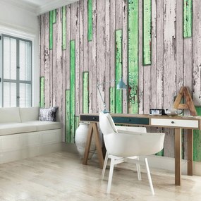 Fototapeta - Šedá a zelená potrhaná doska (254x184 cm)