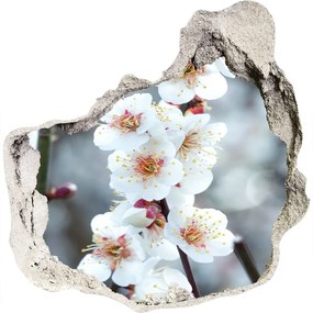 Fototapeta diera na stenu 3D nálepka Čerešňové kvety nd-p-104952401