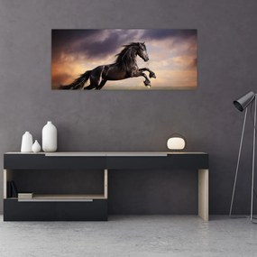 Obraz - Kone (120x50 cm)