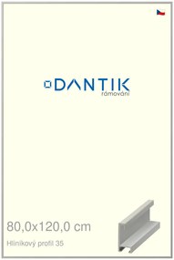 DANTIK rám na obraz 80x120 | ALU Dýha barevná šedá (Plexi Čiré)