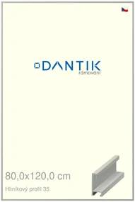 DANTIK rám na obraz 80x120 | ALU Dýha barevná šedá (Plexi Čiré)