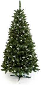 Limpol Vianočný stromček borovica Iza Perla 2,40 m